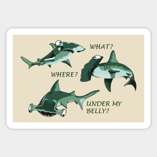 Funny Shark Magnet